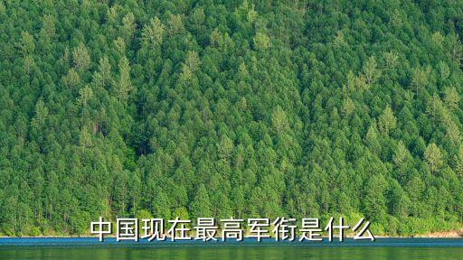 中國人民解放軍上將,解放軍軍銜制度改革陸軍上將為主要軍官銜