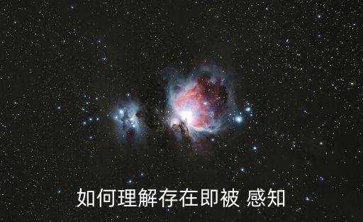 如何理解存在即被 感知