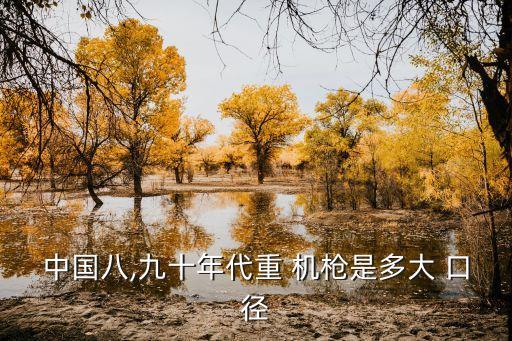 中國八,九十年代重 機槍是多大 口徑