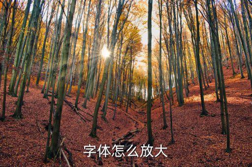 字體怎么放大