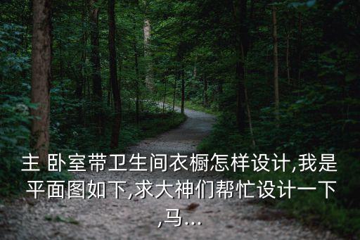 主 臥室帶衛生間衣櫥怎樣設計,我是 平面圖如下,求大神們幫忙設計一下,馬...