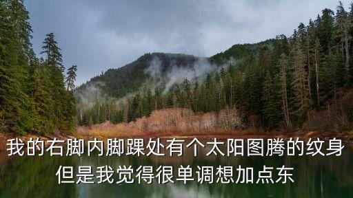 太陽圖騰，銅鼓上的太陽圖案代表什么