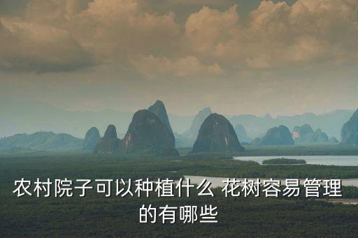 農村院子可以種植什么 花樹容易管理的有哪些