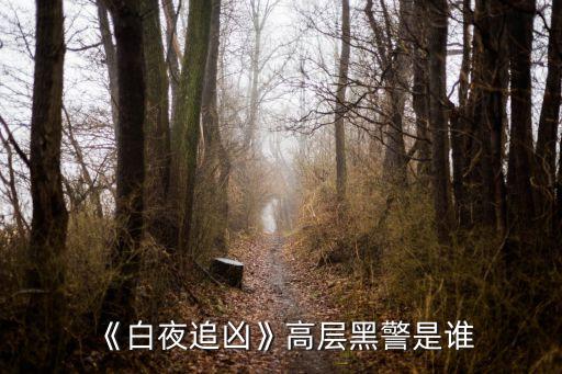 林佳音,警方禁止雙胞胎兄弟參與調(diào)查黑人通緝犯