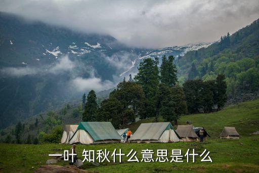  一葉 知秋什么意思是什么