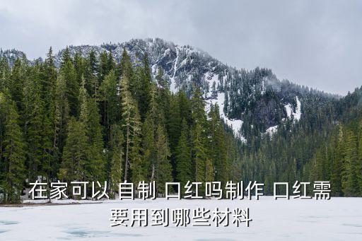 自制口紅,自己動手制口紅!!