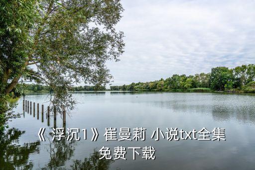 《 浮沉1》崔曼莉 小說txt全集免費下載