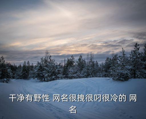 干凈有野性 網(wǎng)名很拽很叼很冷的 網(wǎng)名