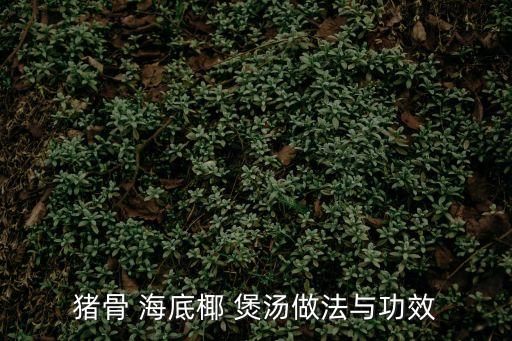 海底椰煲湯,如何做海底椰子烏雞湯?