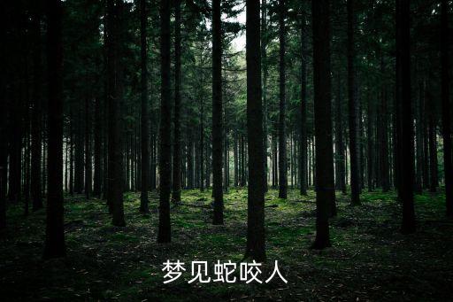 夢見蛇咬人