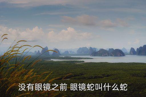 沒(méi)有眼鏡之前 眼鏡蛇叫什么蛇