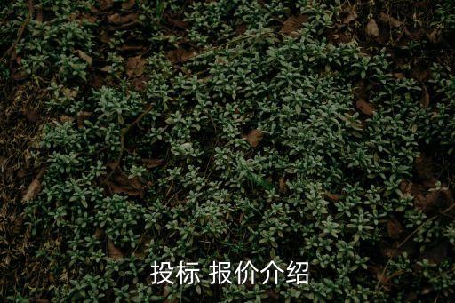 投標 報價介紹