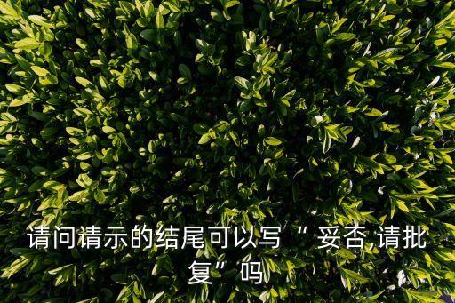 妥否請(qǐng)批示的正規(guī)格式,如何使用如無(wú)，請(qǐng)示?