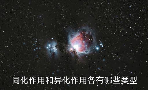 同化作用,青春期新陳代謝旺盛可分解食物與能量