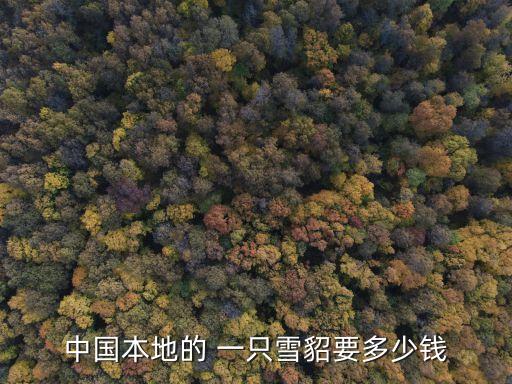 中國本地的 一只雪貂要多少錢