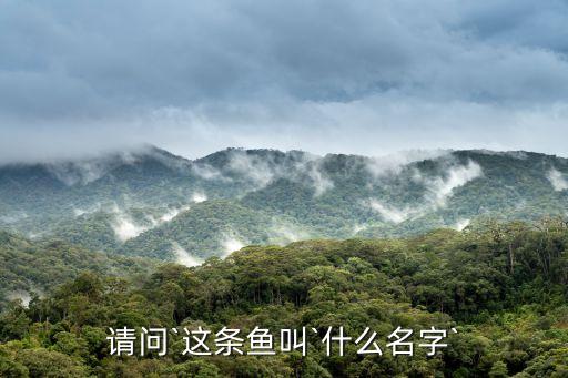 鴨嘴魚圖片,請點擊進入圖片說明武昌魚釣點有鴨嘴魚