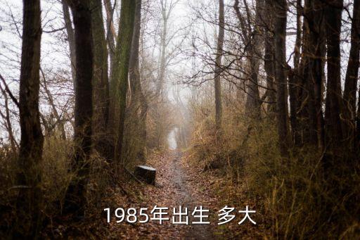 1985年出生 多大