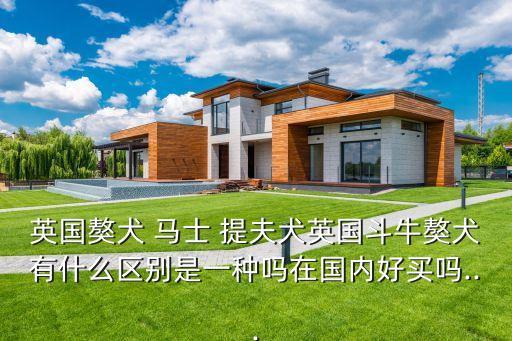 英國獒犬 馬士 提夫犬英國斗牛獒犬有什么區(qū)別是一種嗎在國內(nèi)好買嗎...