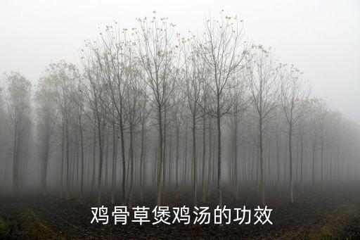 雞骨草的功效,廣州相思樹干燥全草入藥治療婦女乳痛