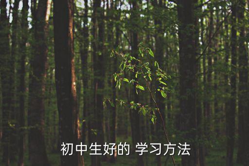 初中生學習,學費會按照他的實際工作來收中學生應多去學校聽課