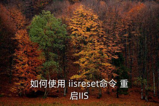 如何使用 iisreset命令 重啟IIS