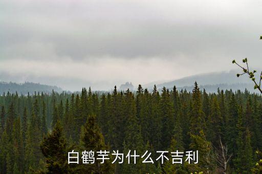 白鶴芋,白鶴芋頭的種類有哪些