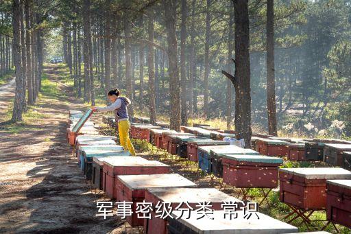  軍事密級分類 常識