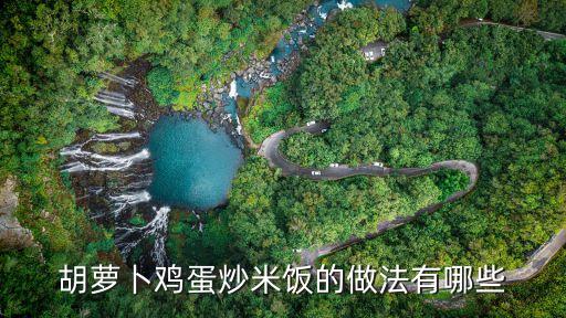 胡蘿卜雞蛋炒米飯的做法有哪些
