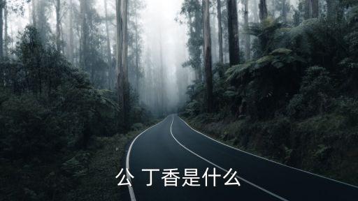 公 丁香是什么
