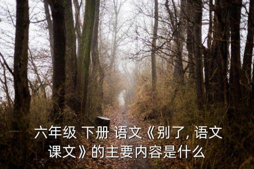  六年級 下冊 語文《別了, 語文課文》的主要內(nèi)容是什么
