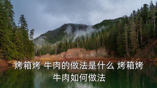  烤箱烤 牛肉的做法是什么 烤箱烤 牛肉如何做法