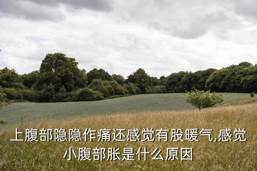 上腹部隱隱作痛還感覺(jué)有股暖氣,感覺(jué)小腹部脹是什么原因