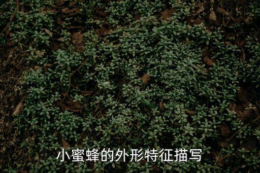 可愛小蜜蜂，可愛的小蜜蜂高興的在采花蜜句子有問題嗎