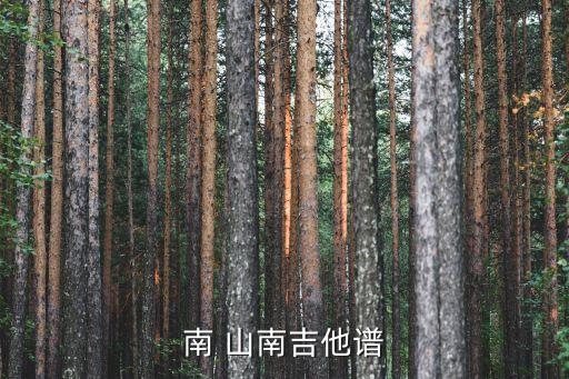 南山南尤克里里譜,《南方山南》吉他配樂:青年亞文化的表現