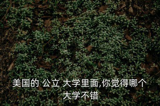 美國的 公立 大學里面,你覺得哪個 大學不錯