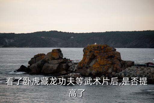 武功片,看了《臥虎藏龍》之后李連杰決定不再拍攝武俠片