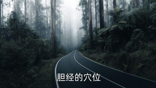 膽經(jīng),敲膽經(jīng)可促進(jìn)經(jīng)絡(luò)通暢促進(jìn)肝臟分泌膽汁有益健康