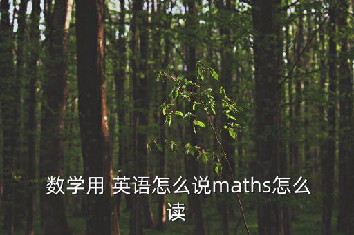  數學用 英語怎么說maths怎么讀