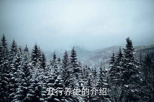 五行養生，五行養生的介紹