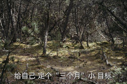 給自己 定個(gè)“三個(gè)月”小 目標(biāo)