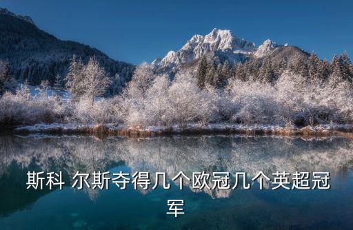  斯科 爾斯奪得幾個歐冠幾個英超冠軍