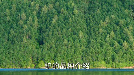 毛驢配種,本命年的人夢見驢和驢交配說明要守舊業謹防官司