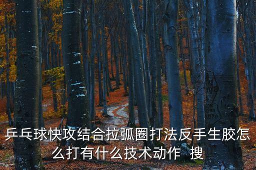 弧圈結合快攻打法，快攻結合弧圈打法