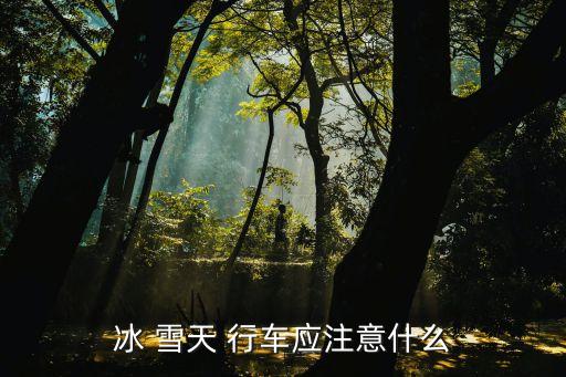 雪天行車,雪天行車注意事項(xiàng):要穩(wěn)不要猛打方向盤