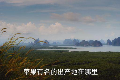 蘋果的原產(chǎn)地,中國蘋果20強(qiáng)縣你知道多少?