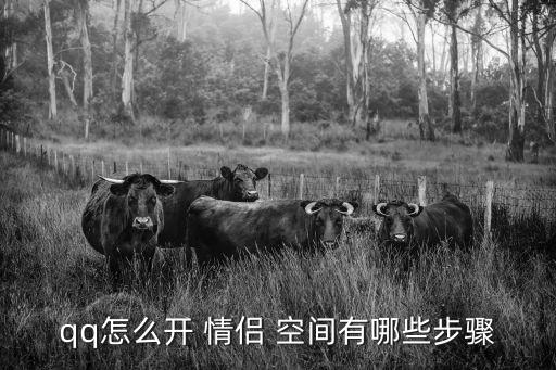 qq怎么開 情侶 空間有哪些步驟