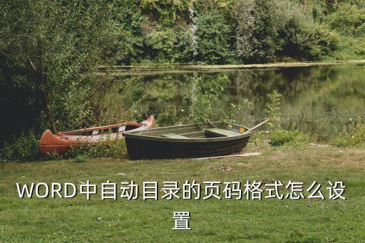 WORD中自動目錄的頁碼格式怎么設(shè)置