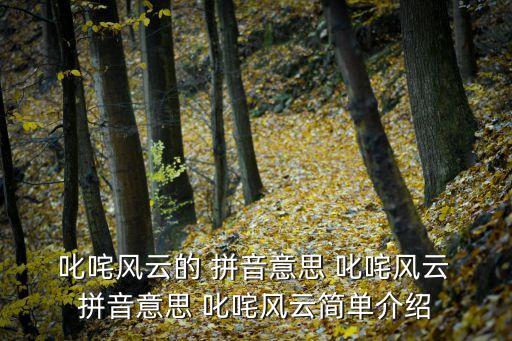 叱咤風云拼音,一聲咆哮可以改變風云顏色我國水利工程學校淹沒
