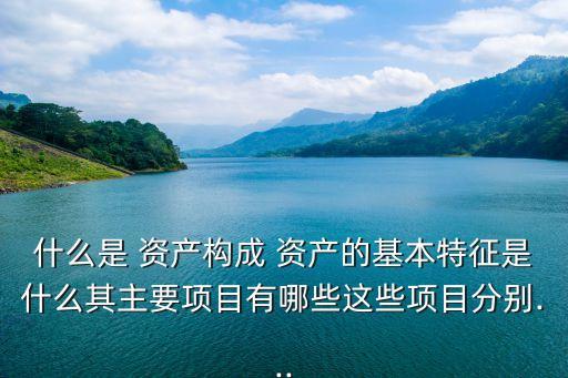 什么是 資產構成 資產的基本特征是什么其主要項目有哪些這些項目分別...