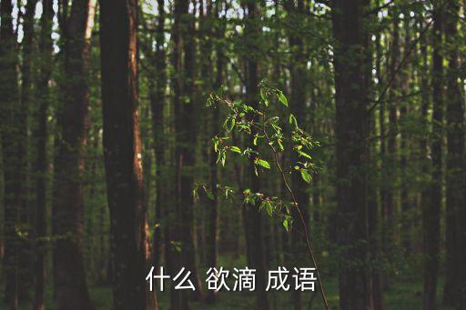 什么欲滴成語,漢語詞典解釋:青翠欲滴不會寫迪